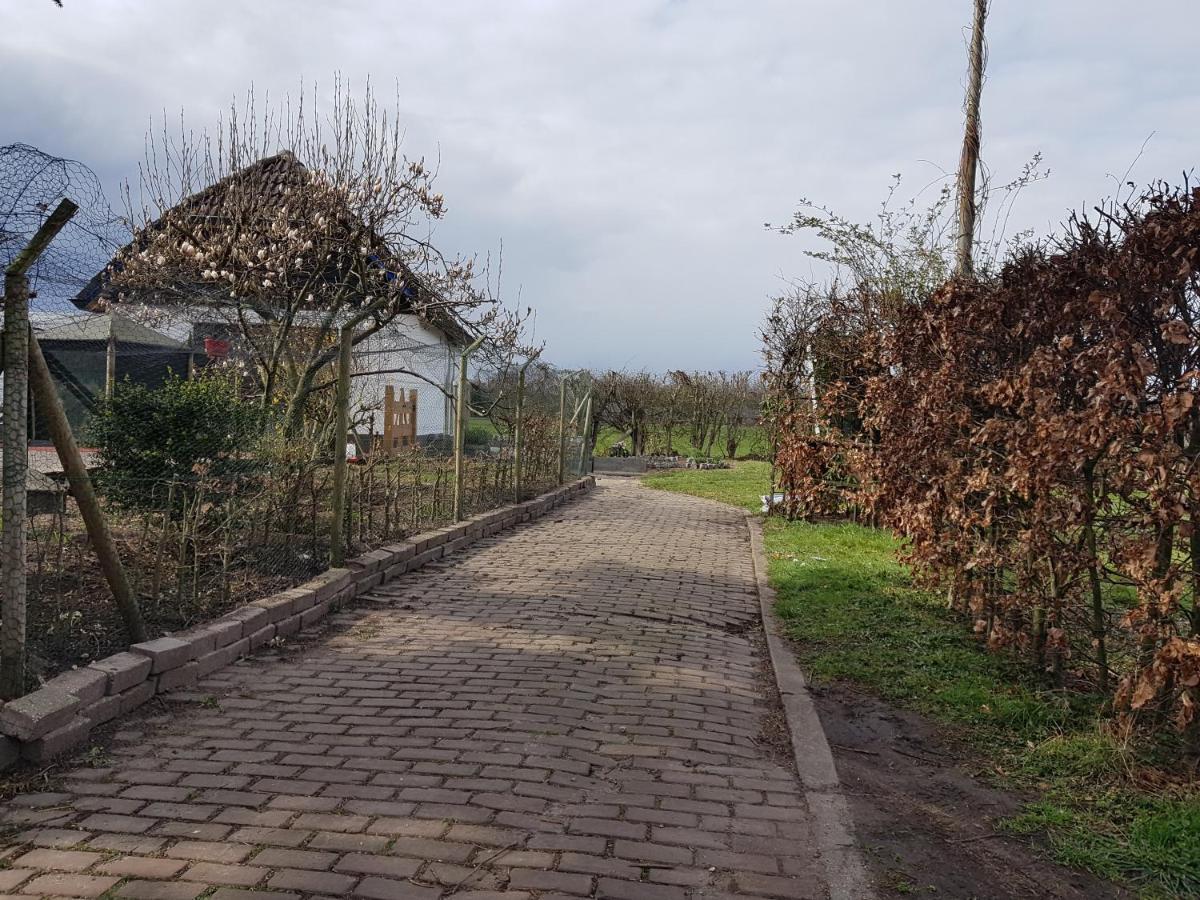B&B Bos En Wei Xl Hall Kültér fotó